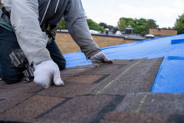 Best Tile Roofing Contractor  in Buena Vista, MI