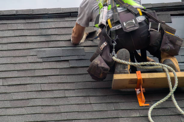 Best Roof Maintenance Services  in Buena Vista, MI