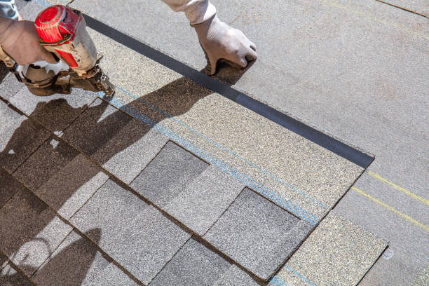 Best Roof Inspection Near Me  in Buena Vista, MI