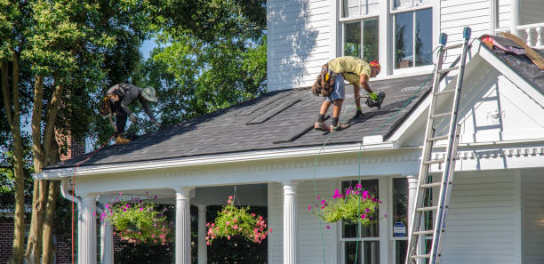 Best Roof Leak Repair  in Buena Vista, MI
